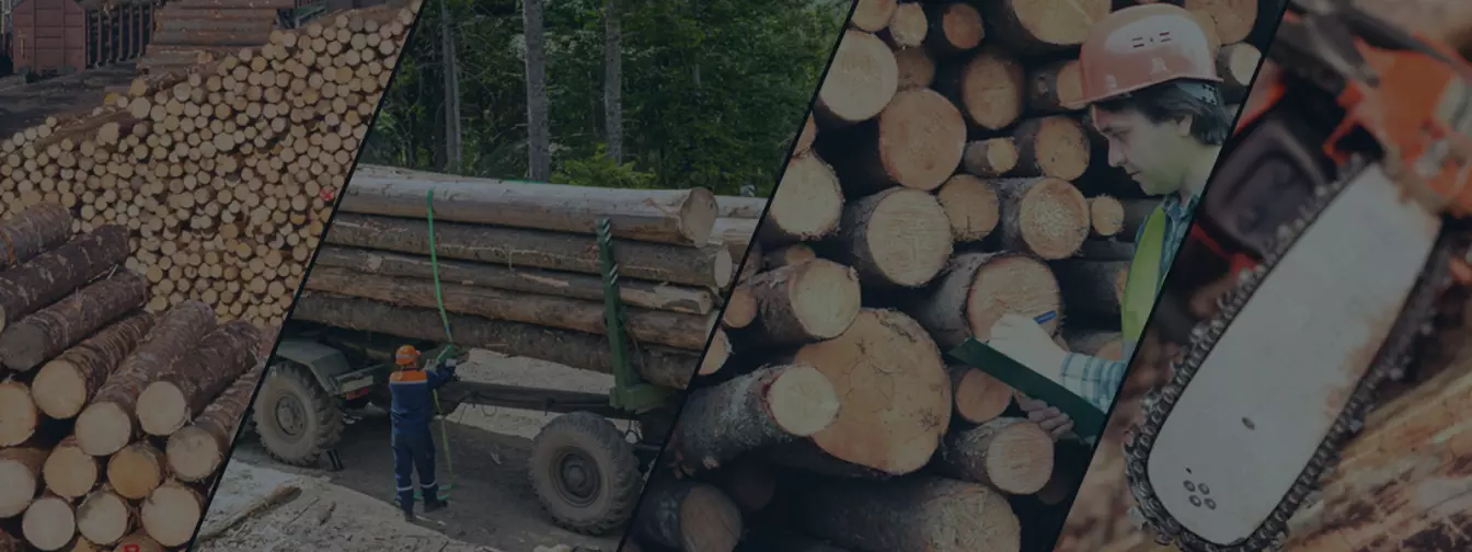 Шумски услуги и сеча на дрвја