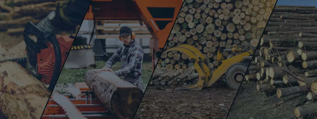 Шумски услуги и сеча на дрвја