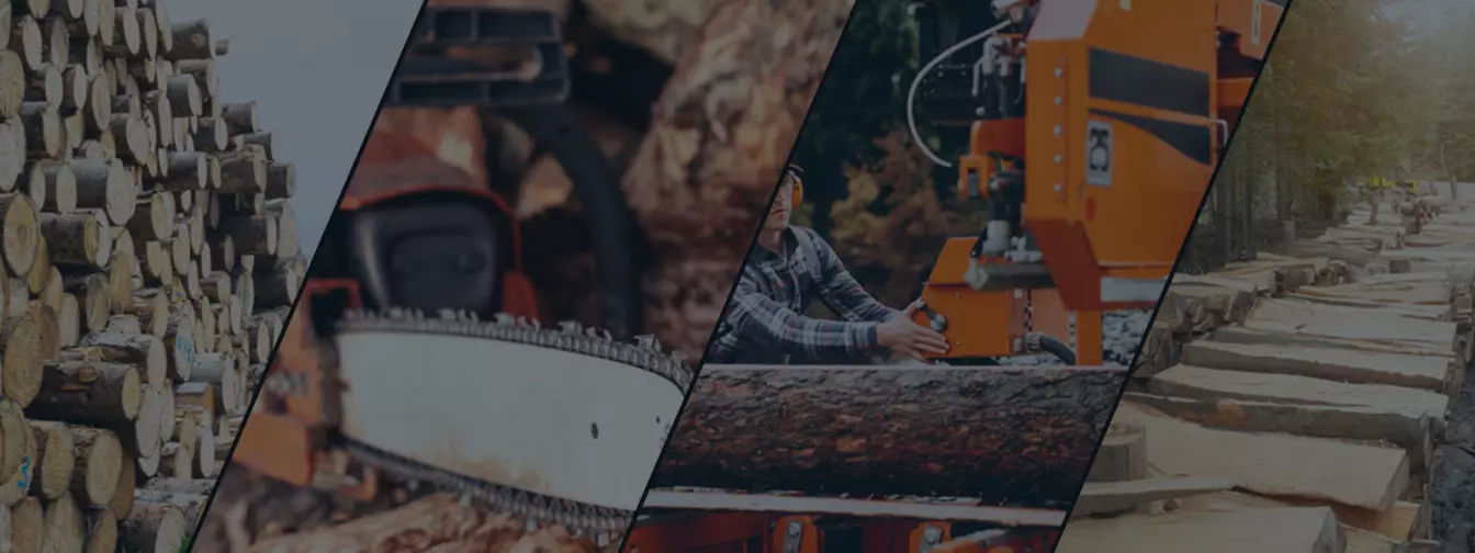 Шумски услуги и сеча на дрвја