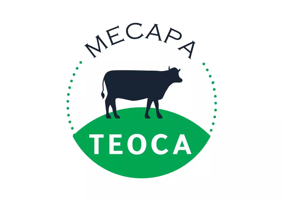 ТЕОСА КОМПАНИ ДООЕЛ Скопје