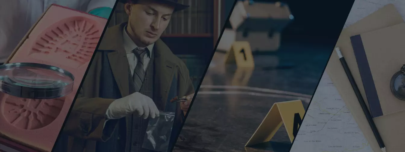 Детективски агенции, приватни детективи