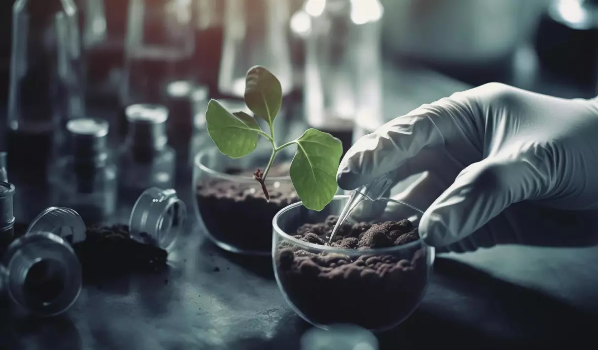 АнализанапочваСтрумицаB