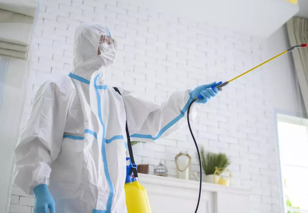 Дезинфекција,дезинсекцијаидератизацијаКумановоA