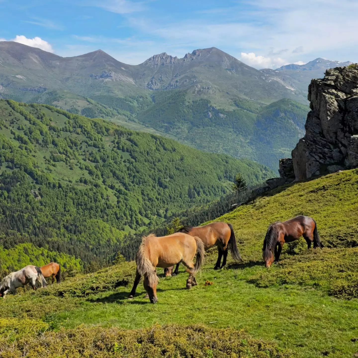 НационаленпаркМакедонијаA