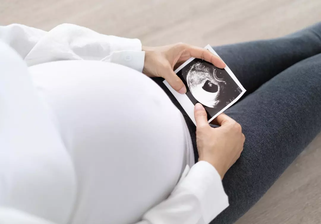 ПодготовказапородувањеСтругаВевчаниB