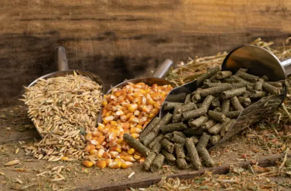 ПродажбанасточнахранаДемирХисар4