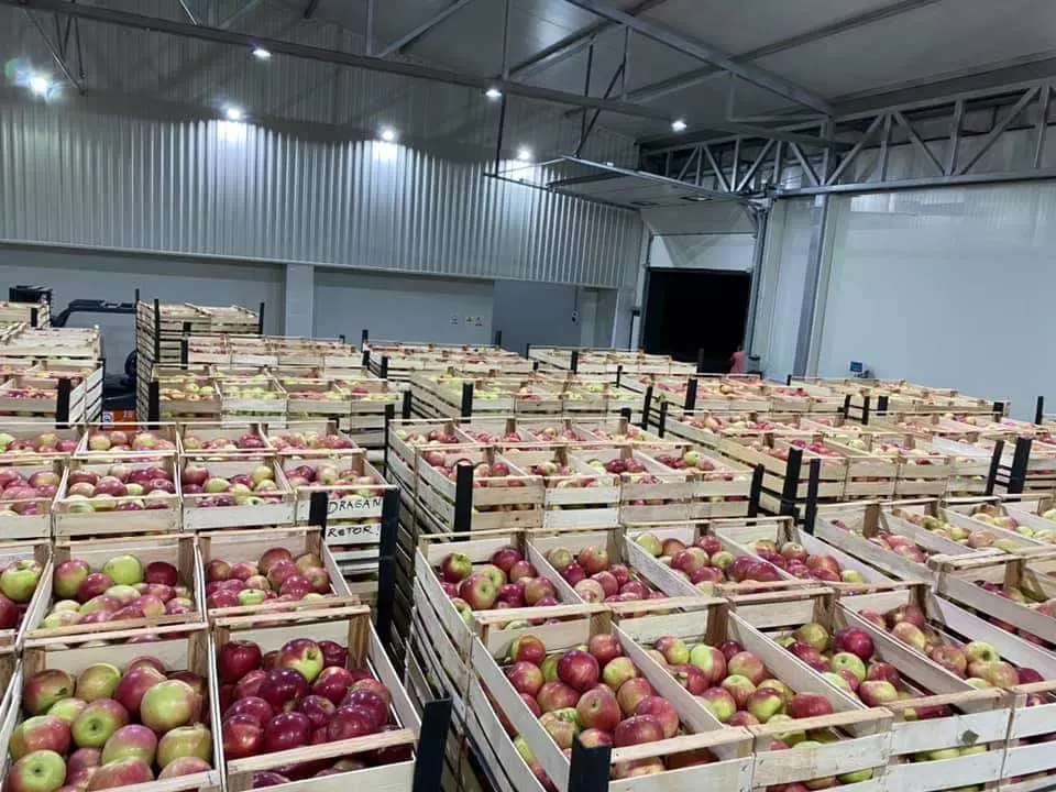 Производствонадрвенаамбалажа,палетиипелетиКавадарциA