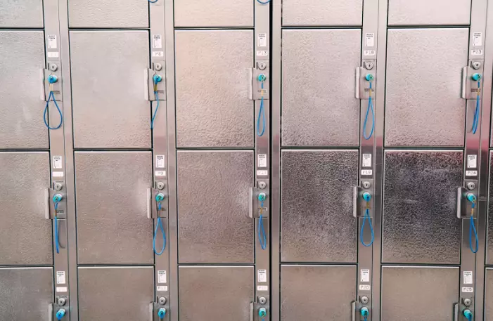 СеодМеталРадовиш5