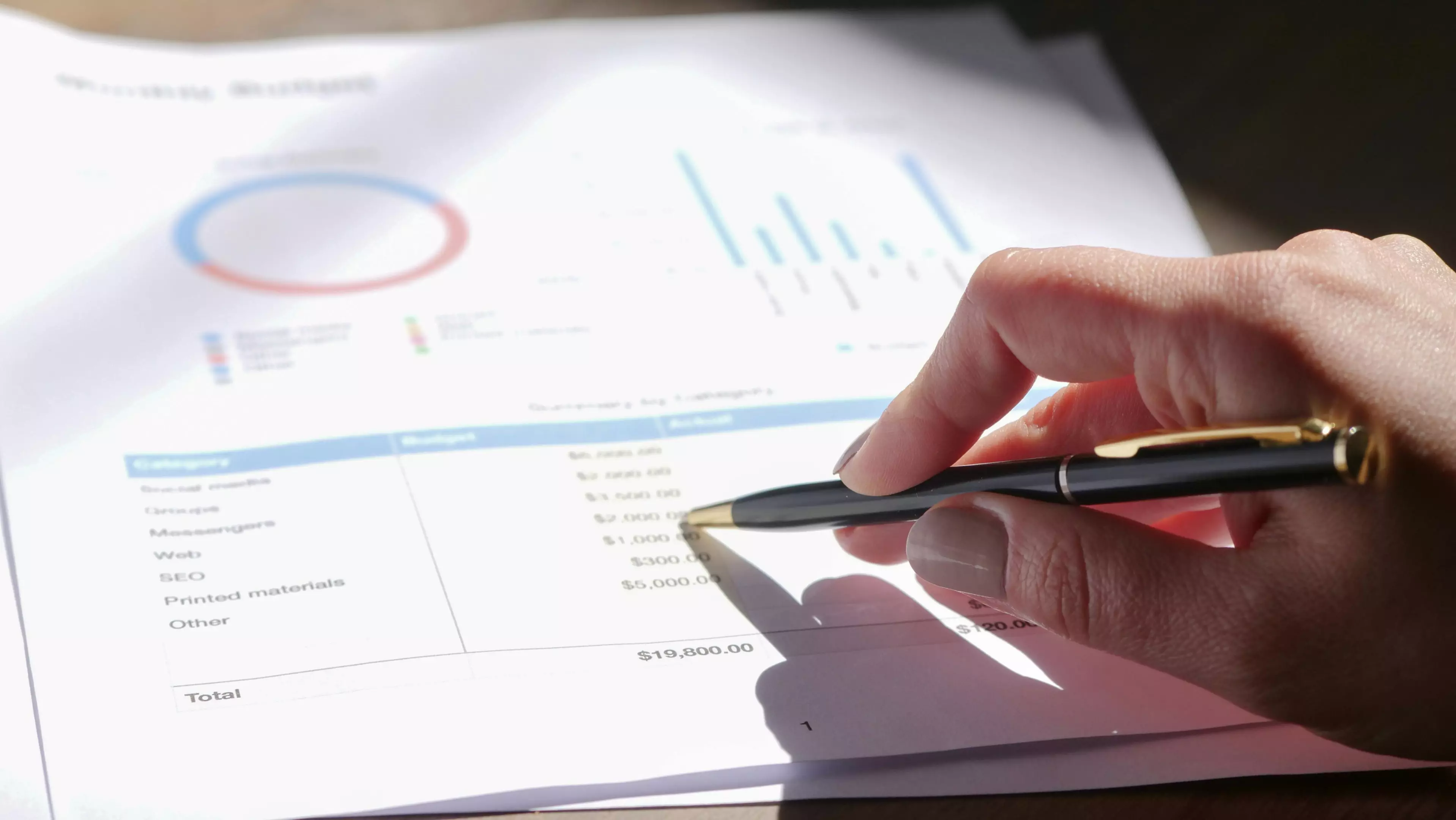 Consulting_and_Audits_Skopje