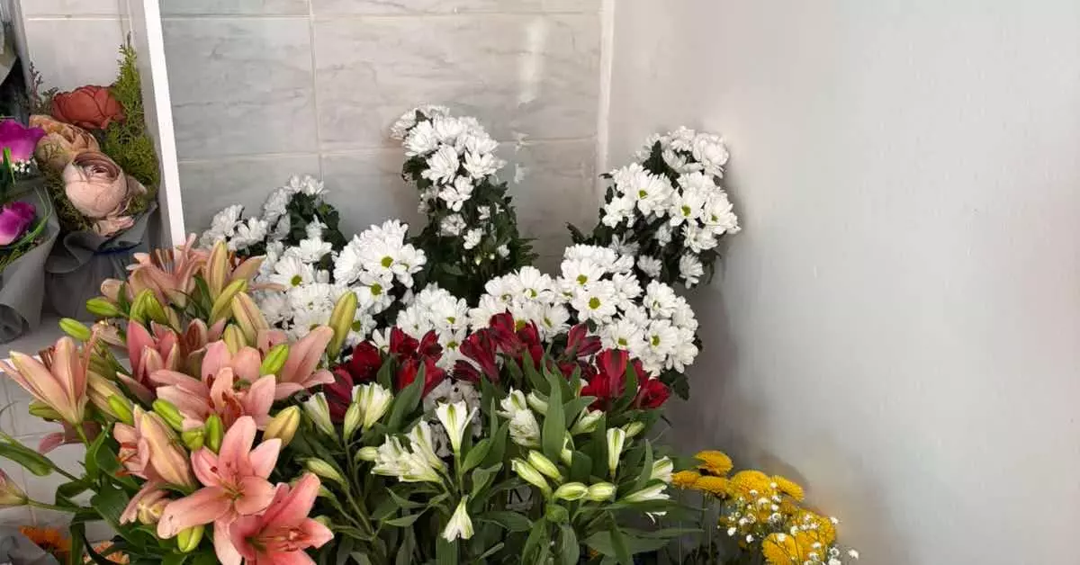 CvekjarasodostavaPrilep CvekjarasodostavaPrilep