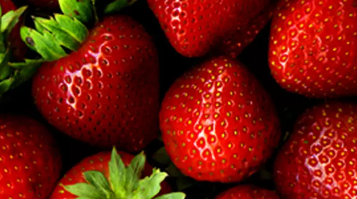 KonzerviranipecurkizelencukiovosjeMakedonija3