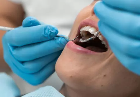 NajdobristomatoloskiuslugiSkopje