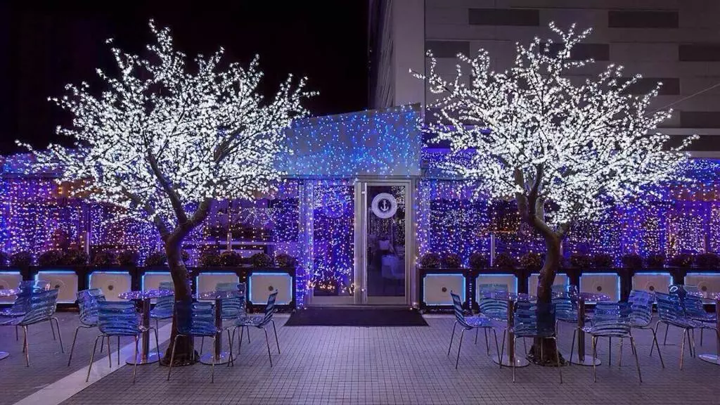 NovogodisnoukrasuvanjeSkopjeA