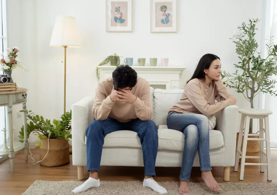 PartnetskosovetuvanjebitolaB