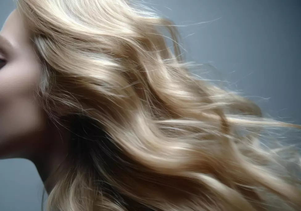 ProfesionalenfrizerskisalonBitolaA