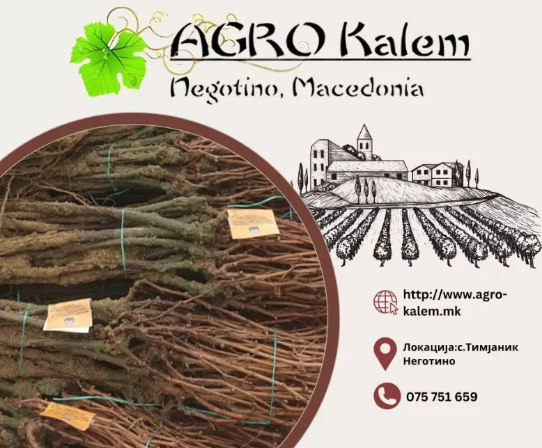 ProizvodstvolozovisadniciMakedonijaA