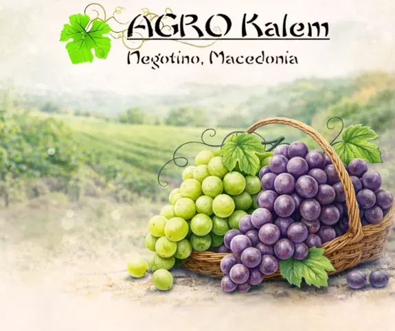 ProizvodstvolozovisadniciMakedonijaB