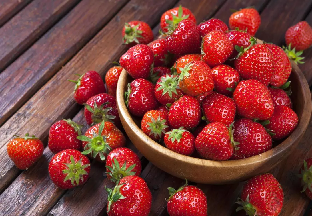 ProizvodstvonabademiijagodiGevgelijaA