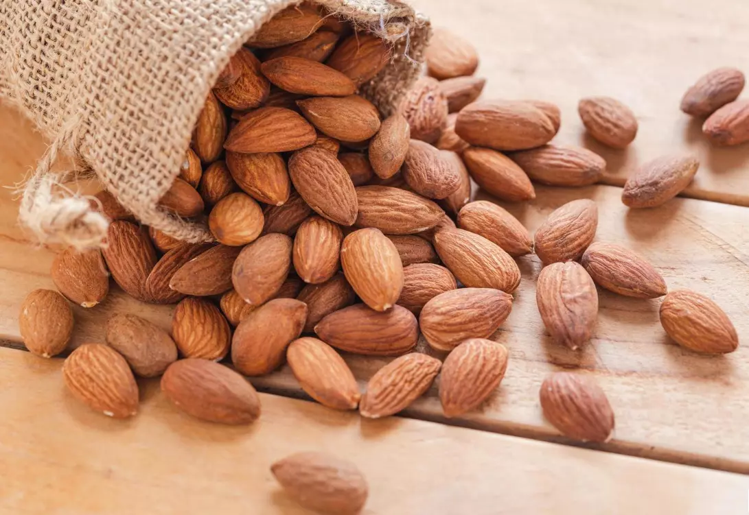 ProizvodstvonabademiijagodiGevgelijaB