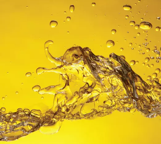 SeparatorizamaslaMakedonijaB