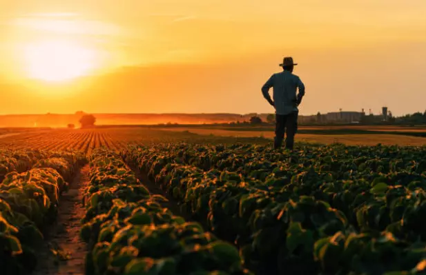 SezonskirabotniciStrumica SezonskirabotniciStrumica