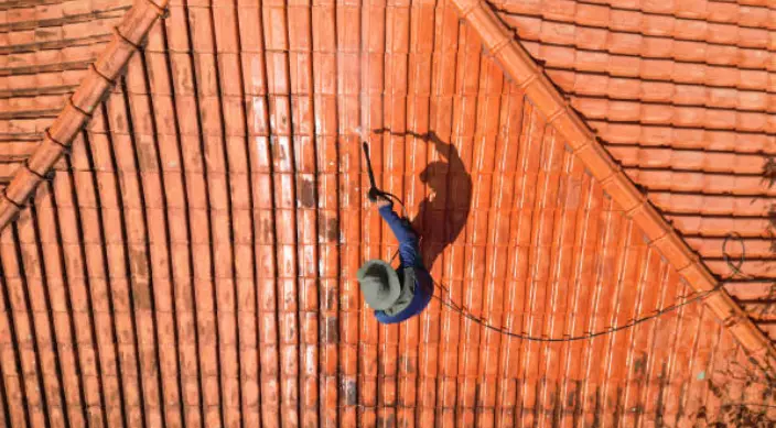 SpecijaliziranocistenjenakrovoviMakedonija1