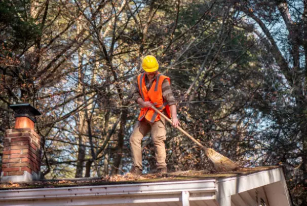 SpecijaliziranocistenjenakrovoviMakedonija4