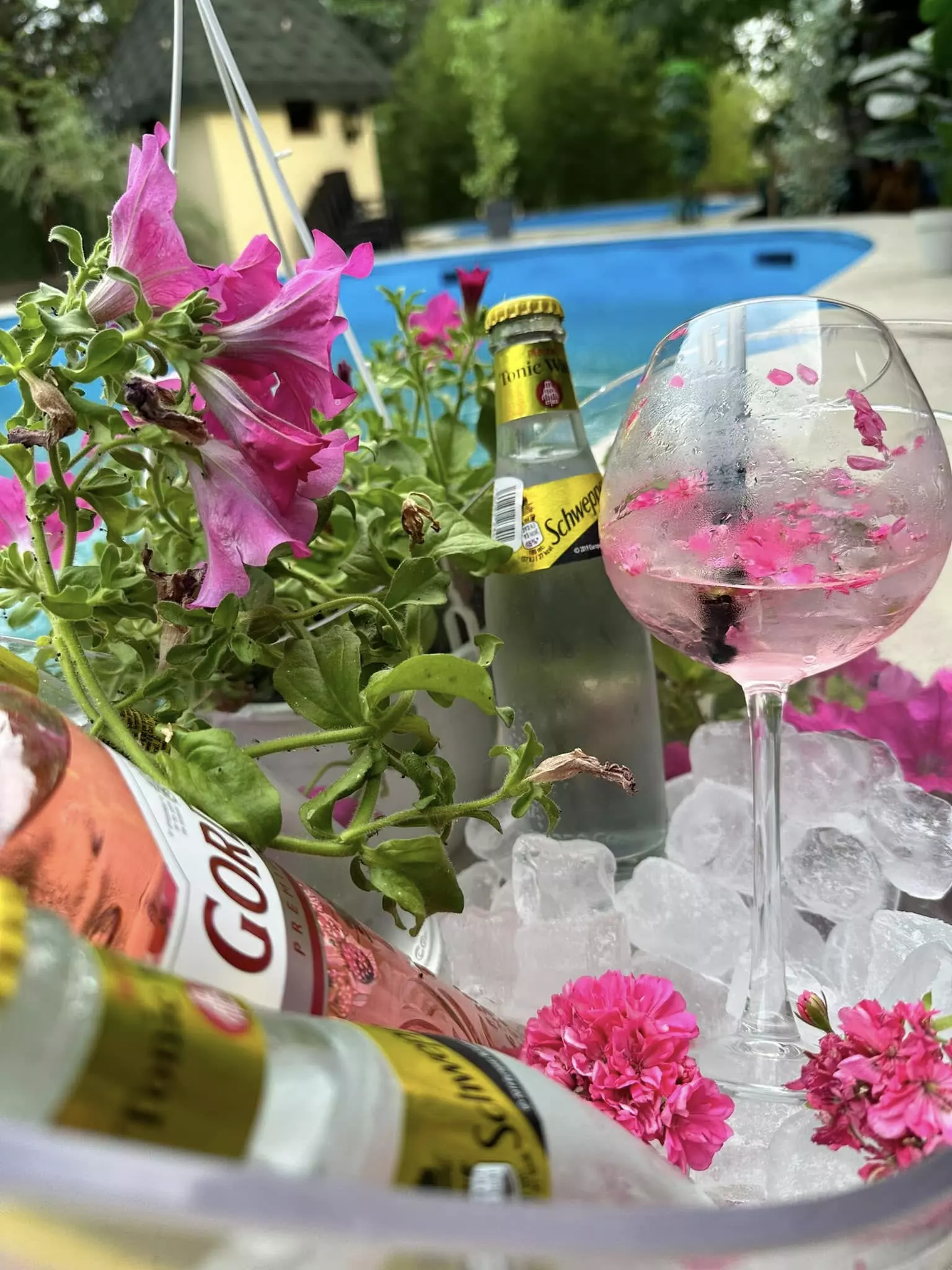 ThebestrestaurantkumanovoB ThebestrestaurantkumanovoB