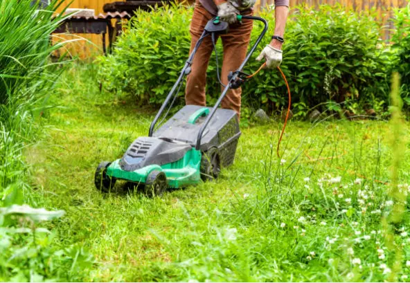 UreduvanjenadvoroviSkopje UreduvanjenadvoroviSkopje