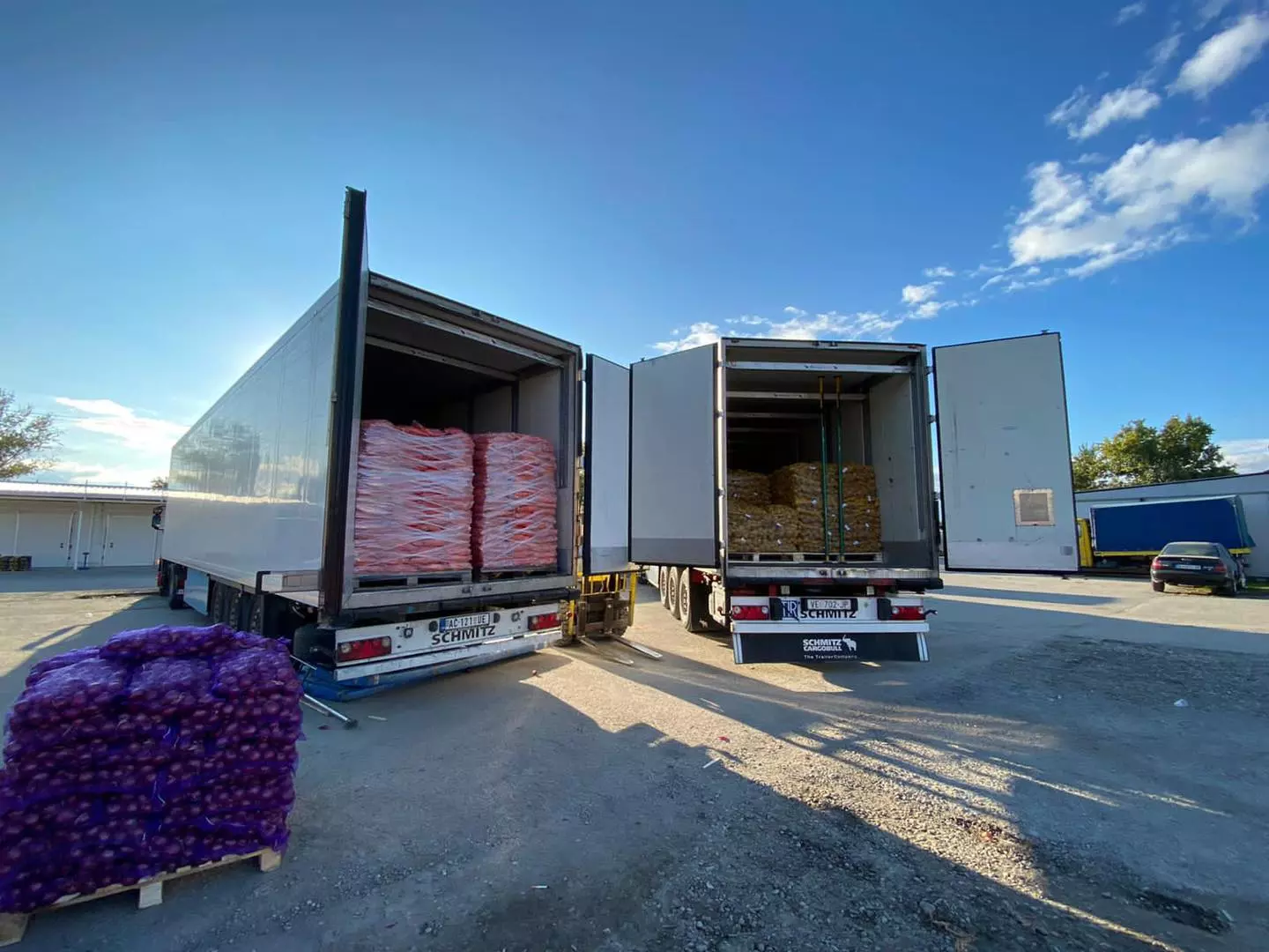 Uvoz_na_svež_zelenčuk_i_ovošje_Skopje