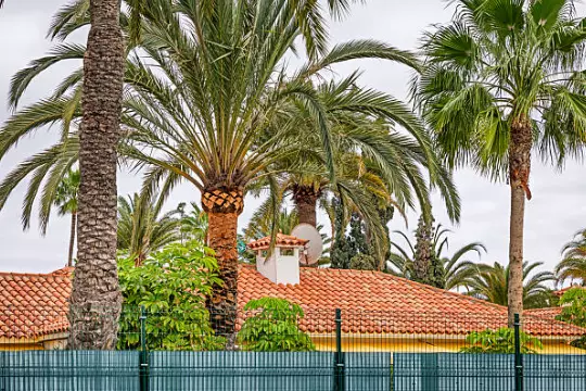 podesuvanjenaresiveriskopje3