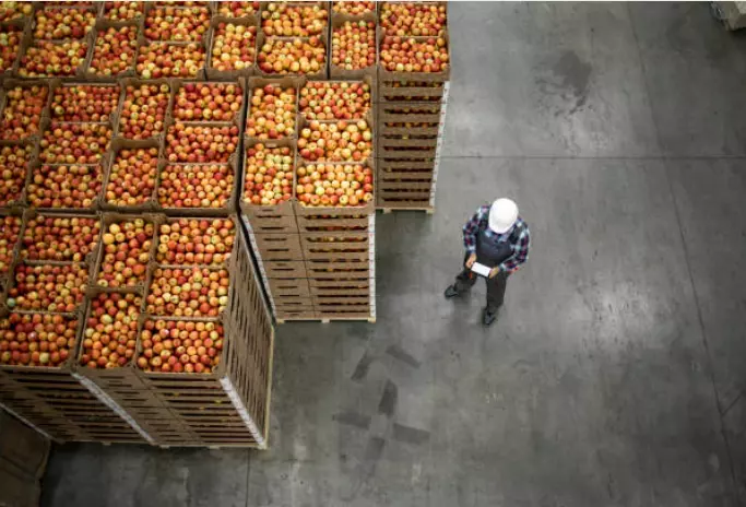 stocnahranaihranazamilenici22 stocnahranaihranazamilenici22