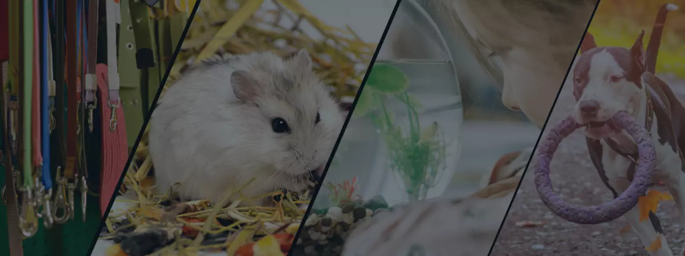 Домашни миленици и опрема