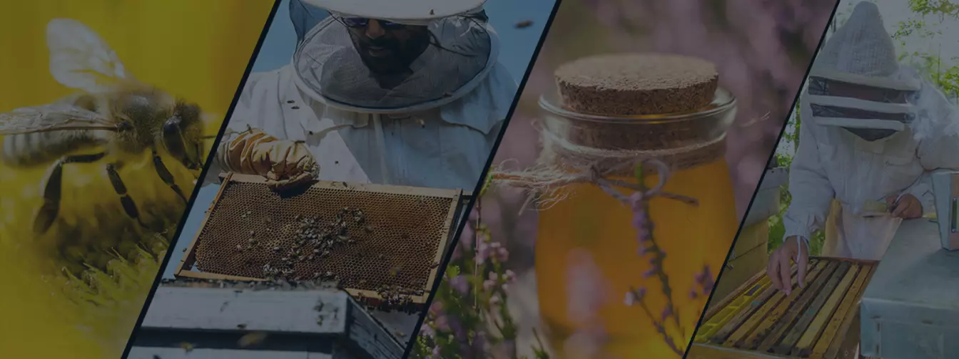 Пчеларство и опрема