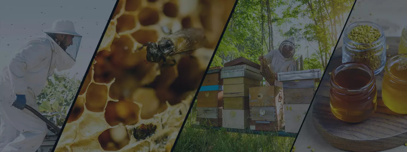 Пчеларство и опрема