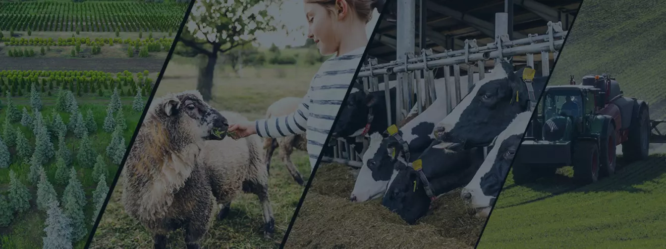 Дополнителни активности на фарма