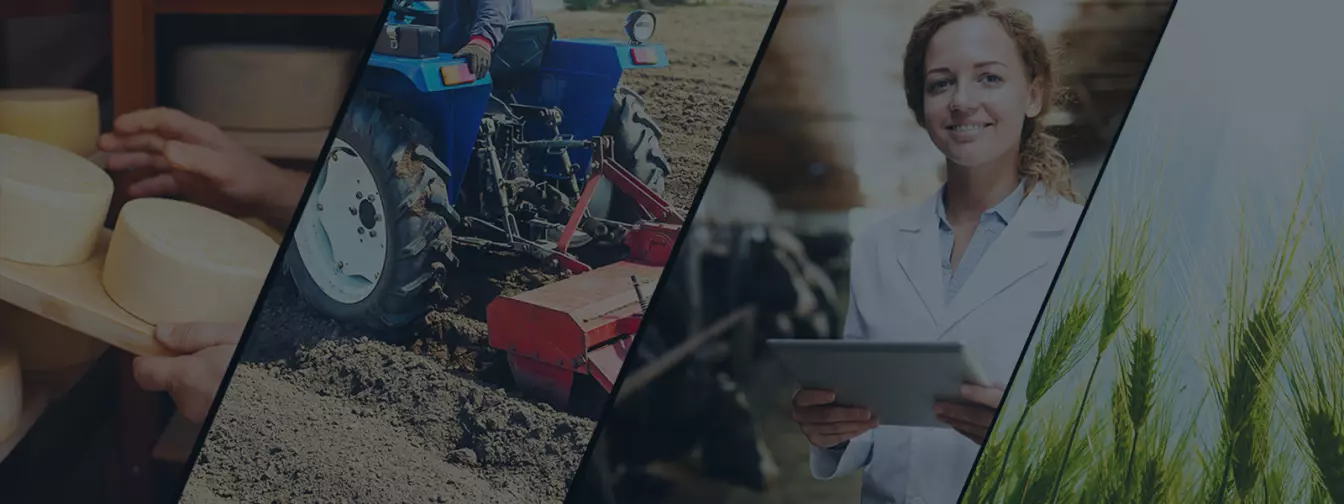 Дополнителни активности на фарма