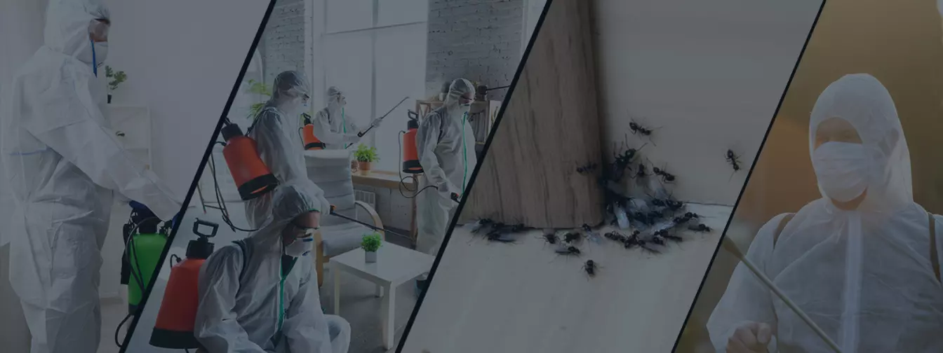 Дезинфекција, дезинсекција, истребување