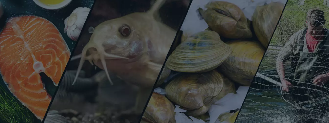 Аквакултура