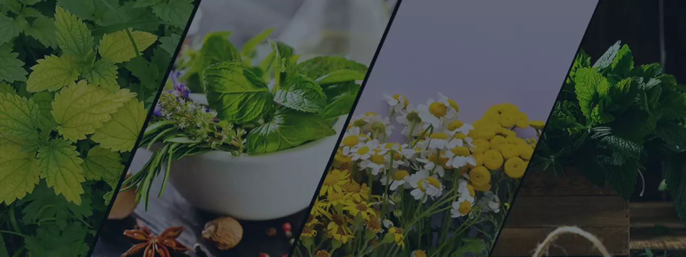 Билкарство