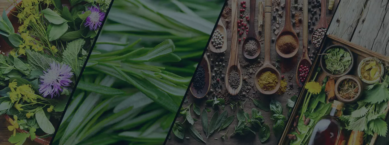 Билкарство