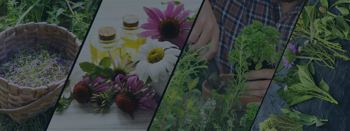 Билкарство