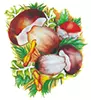 СЛОГА 88 ДОО