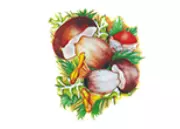 СЛОГА 88 